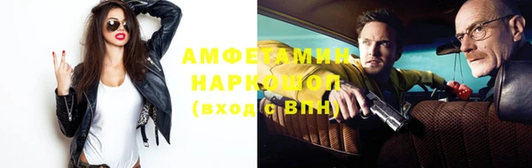 индика Балахна
