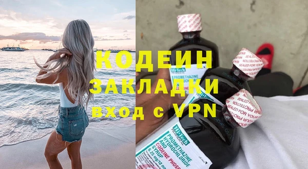 индика Балахна