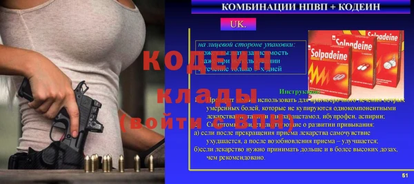 индика Балахна