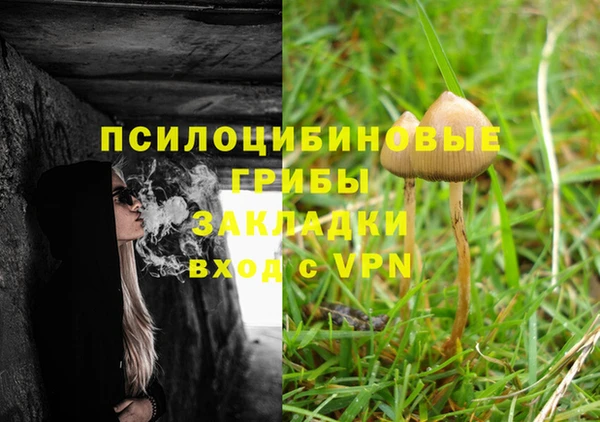 spice Балабаново
